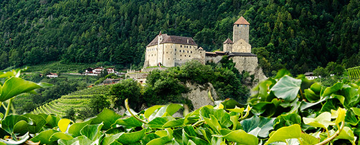 Schloss Tirol